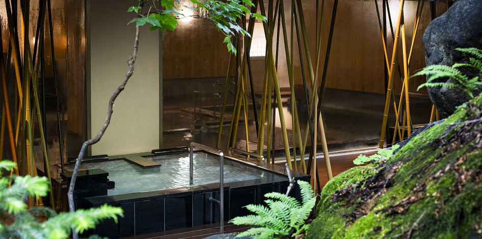Nature Bath Voice of the Birds (Tori no Koe)