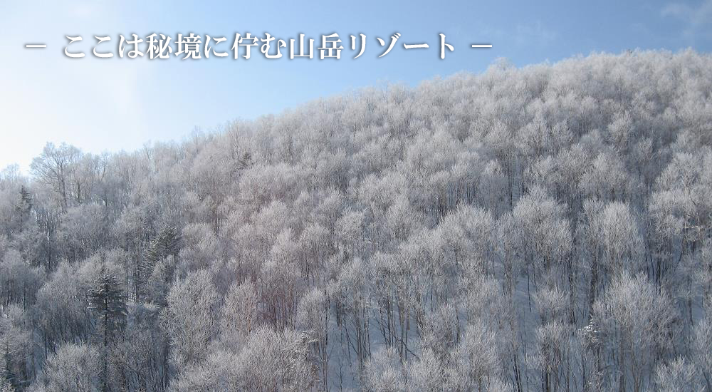 層雲峡温泉 朝陽リゾートホテル 公式 北海道の温泉宿 野口観光グループ